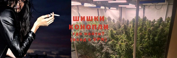 ешки Богданович