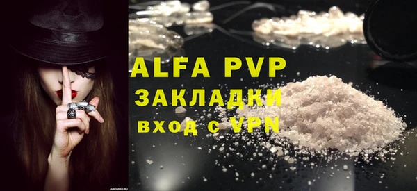ешки Богданович
