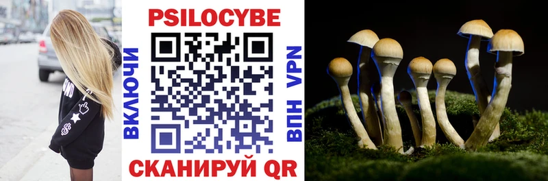 кракен сайт  наркотики  Моздок  Галлюциногенные грибы Psilocybe 